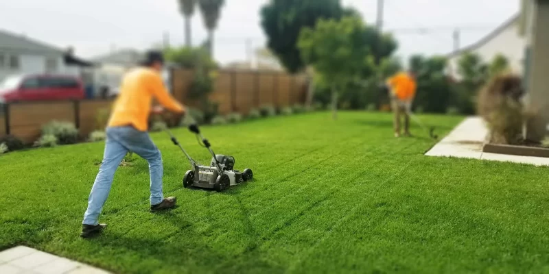 AGZA_ASP_Push_Lawn_Care_COVER_01_BLUR_2000 AGZA_ASP_Push_Lawn_Care_COVER_01_BLUR_2000