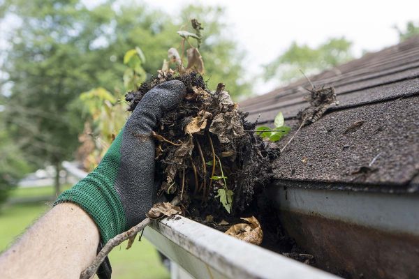 clogged-gutter-on-shingle-roof clogged-gutter-on-shingle-roof