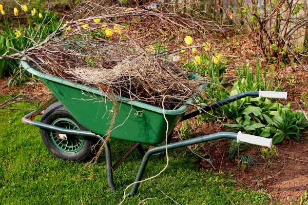 green-wheelbarrow-holding-plants green-wheelbarrow-holding-plants