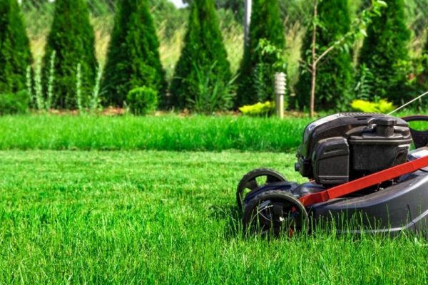 questions-to-ask-before-hiring-a-lawn-care-company questions-to-ask-before-hiring-a-lawn-care-company